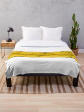 Logical Fallacy - Affirming a Disjunct Throw Blanket
