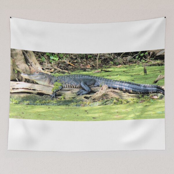 Item preview, Stretch Gator designed and sold by Bob Hardy.