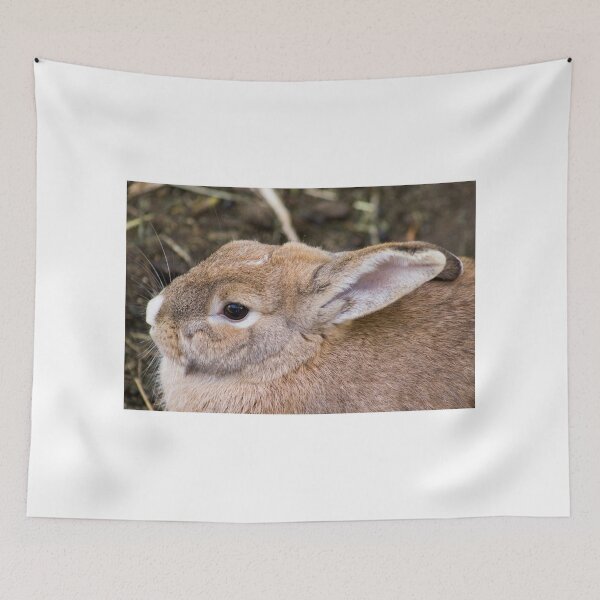 Item preview, 122014 cottontail designed and sold by pcfyi.