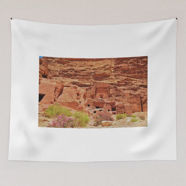 Item preview, Dwellings in Petra designed and sold by Malcolm Snook.