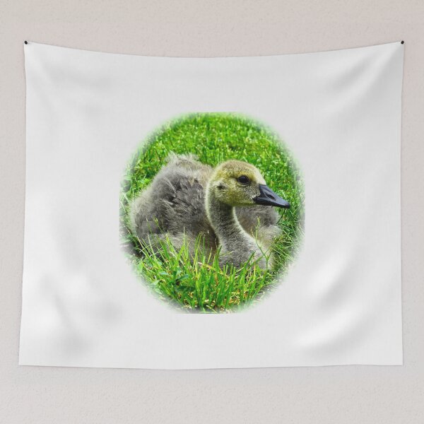 Item preview, Fuzzy little goose baby designed and sold by BBrightman.