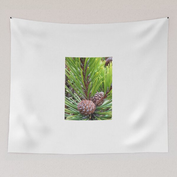 Item preview, Cones designed and sold by SunriseRose.