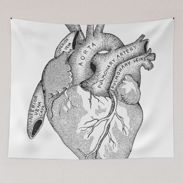 Item preview, Study of the Heart designed and sold by hannighan.