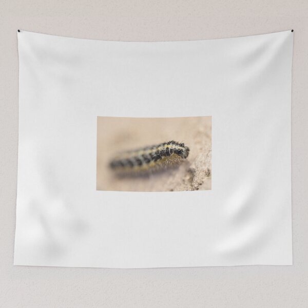 Item preview, Caterpillar of Pieris brassicae designed and sold by Antonio Pizarro Mendez.