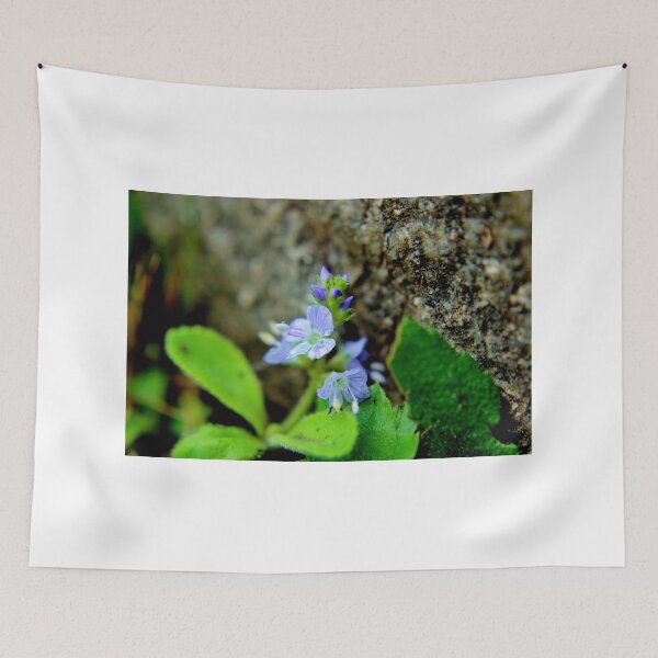 Item preview, Common Speedwell  designed and sold by Kathleen Daley.