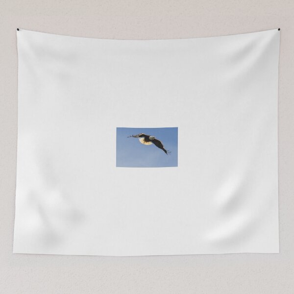 Item preview, Eagle against Blue Sky designed and sold by lisavonbiela.