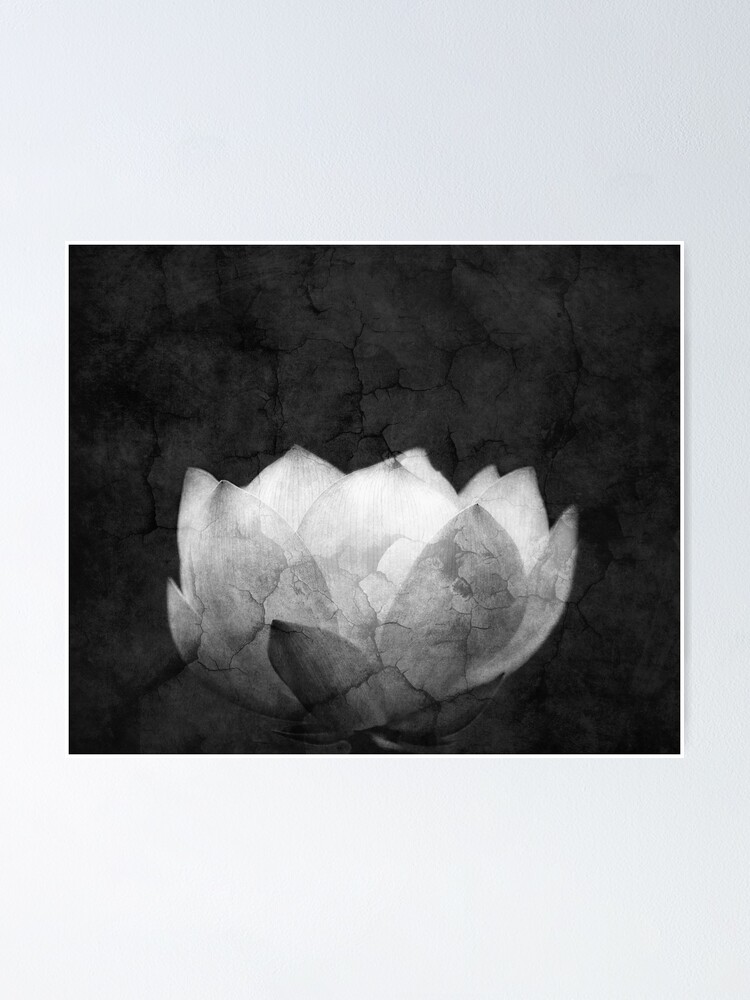 Thumbnail 1 of 3, Poster, Lotus Projection designed and sold by Ghelly.