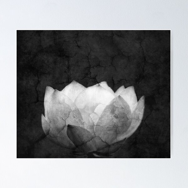 Item preview, Lotus Projection designed and sold by Ghelly.