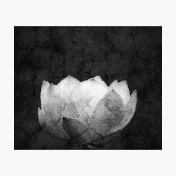 Item preview, Lotus Projection designed and sold by Ghelly.