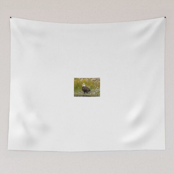 Item preview, Bald Eagle designed and sold by TKPhotos.