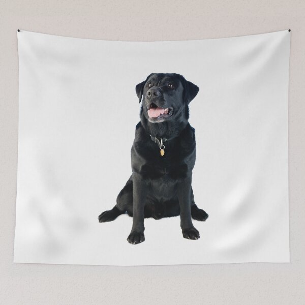 Item preview, Black Labrador retriever designed and sold by JH-Image.