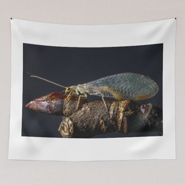 Item preview, Insect designed and sold by Wizi-Top.