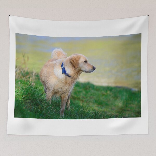 Item preview, Megan at The Gearagh, Macroom, County Cork, Ireland designed and sold by AndrewJonesFoto.