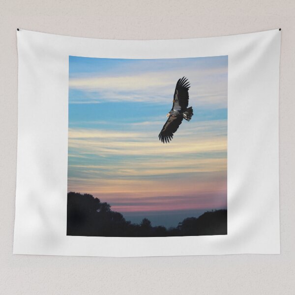 Item preview, CONDOR FLYING FREE AGAIN over CALIFORNIA designed and sold by Daniel Hagerman.