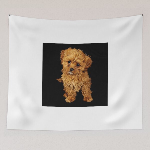 Item preview, Remi designed and sold by Colin White.