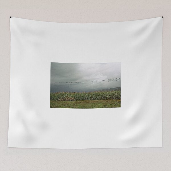 Item preview, Untitled designed and sold by gluca.