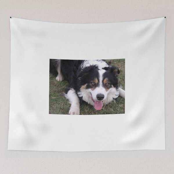 Item preview, The Wonder of Laddie designed and sold by Michael Haslam.