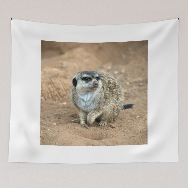 Item preview, Meercat watching  designed and sold by hawkie.