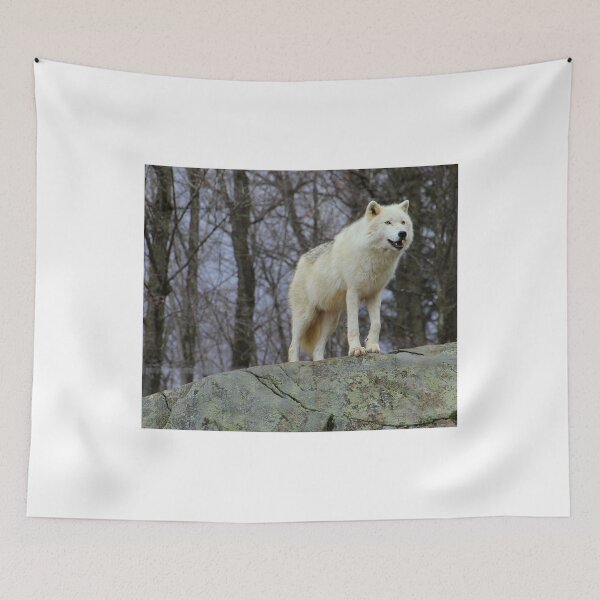 Item preview, Arctic Wolf Watching designed and sold by vette.