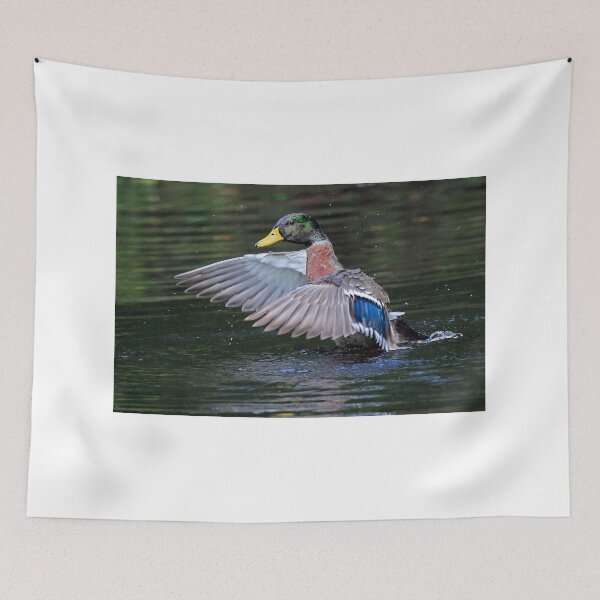 Item preview, Great Wings! designed and sold by Anthony Goldman.