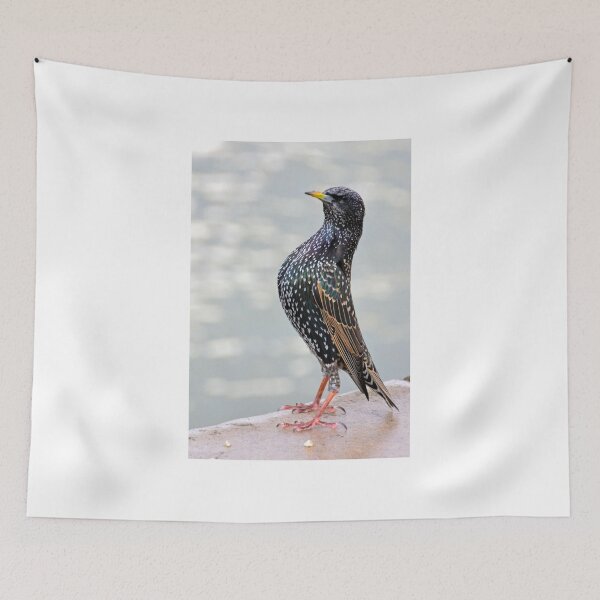 Item preview, Attention........... designed and sold by lynn carter.