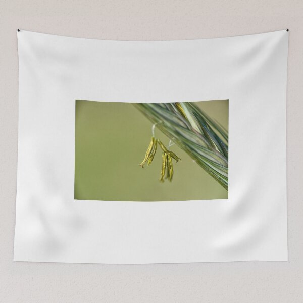 Item preview, Grass head. designed and sold by Steve Mills.