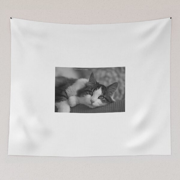 Item preview, Miss Puss Puss  designed and sold by browna.