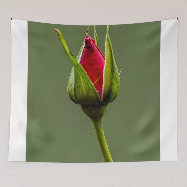 Item preview, Red Rose designed and sold by Deborah V Townsend.