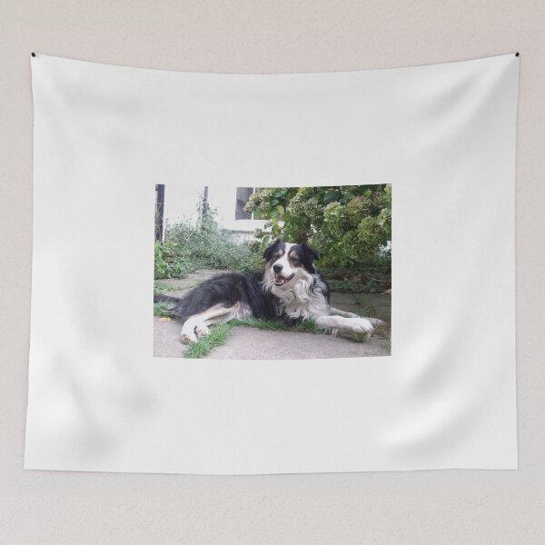Item preview, That's my ball. designed and sold by Michael Haslam.