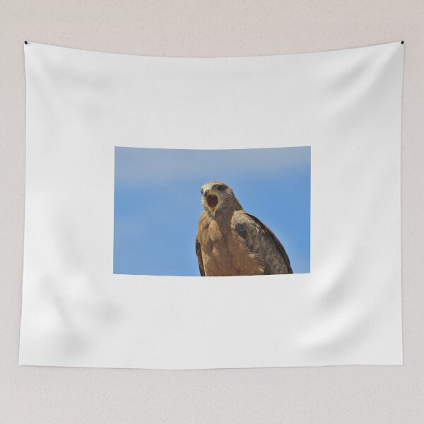 Item preview, Yellow Billed Kite - Calling all Friends designed and sold by LivingWild.