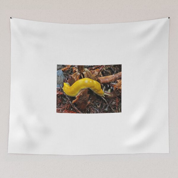 Item preview, Curvy banana slug- Santa Cruz, California designed and sold by David Chesluk.