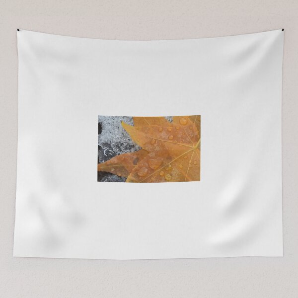 Item preview, Fall Leaves in Snow designed and sold by lisavonbiela.