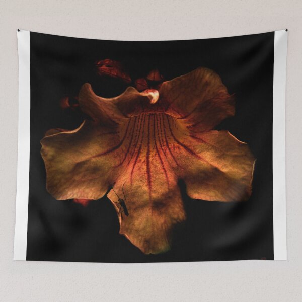 Item preview, Hypnotised  designed and sold by strawberries.