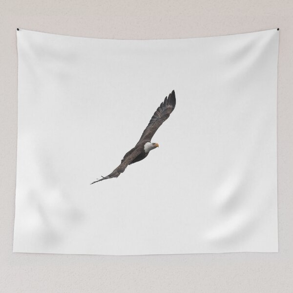 Item preview, Isolated Eagle-4 designed and sold by Thomasyoung.