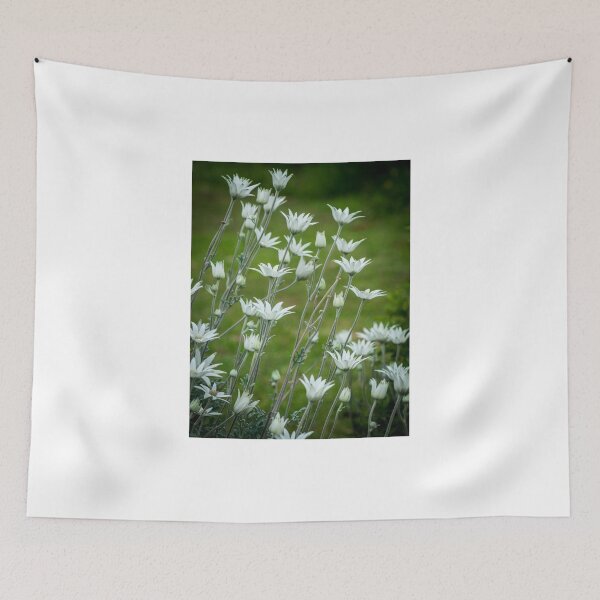 Item preview, Blooming Flannel Flowers designed and sold by pcbermagui.
