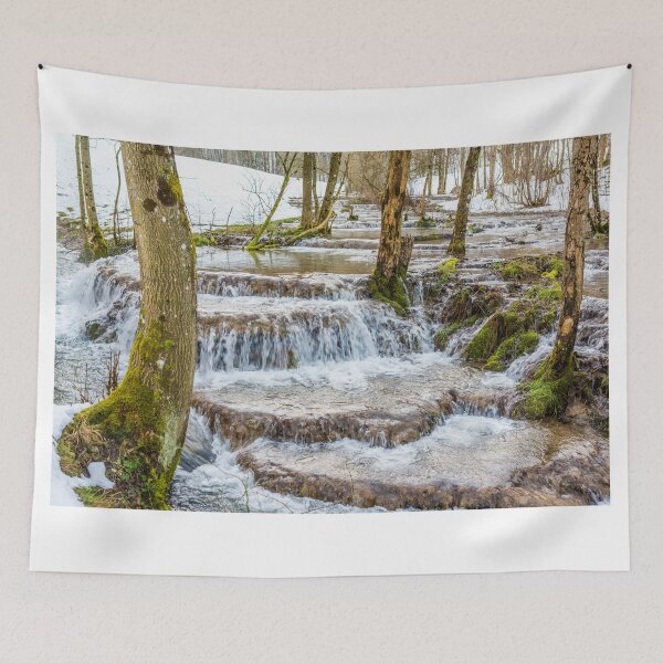 Item preview, Calc-sinter or Travertine terraces, Gutenberg, South Germany designed and sold by Mark Bangert.