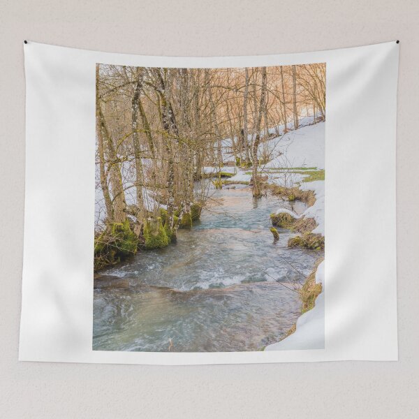 Item preview, Calc-sinter or Travertine terraces, Gutenberg, South Germany designed and sold by Mark Bangert.