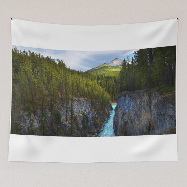 Item preview, Sunwapta Falls designed and sold by John Poon.