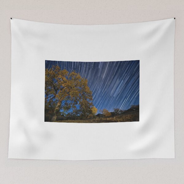 Item preview, Startrails over Live Oak designed and sold by A.M. Ruttle.