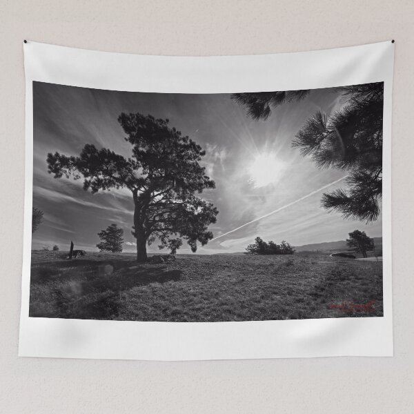 Item preview, From Dairy Farmers Hill at the National Arboretum in Canberra/ACT/Australia (3) designed and sold by Wolf Sverak Photography.