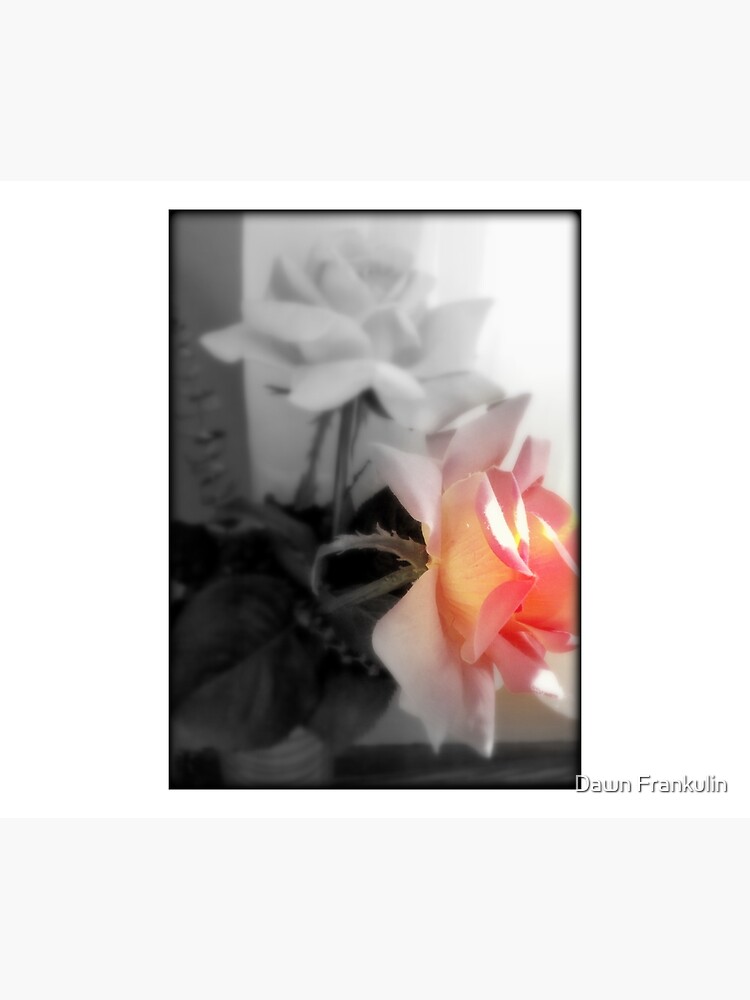 Fading by Eastsider