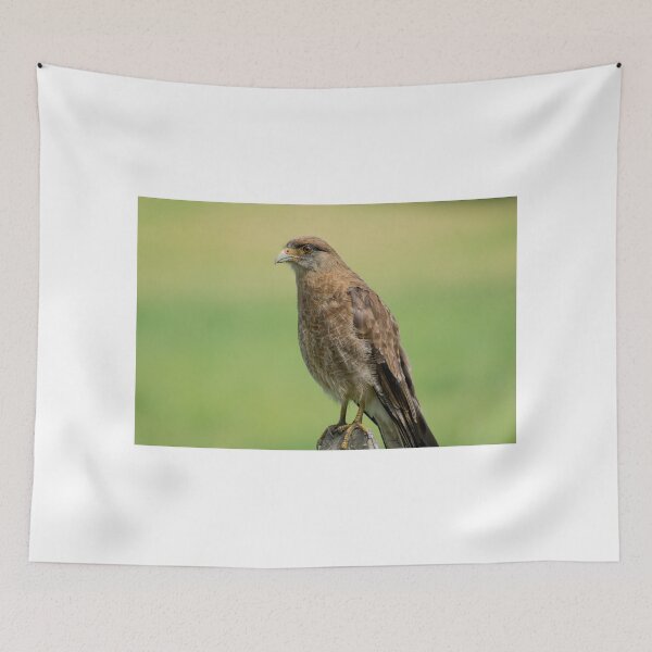 Item preview, 11515 hawk designed and sold by pcfyi.
