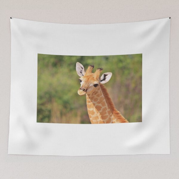 Item preview, Giraffe - African Wildlife - Innocence is Adorable designed and sold by LivingWild.
