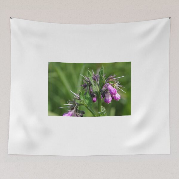 Item preview, Comfrey {Symphytum officinale} designed and sold by SmoothBreeze7 | Liz Collet Photography.