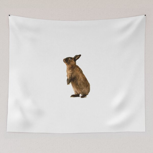Item preview, Rabbit standing on hind legs designed and sold by yeamanphoto.