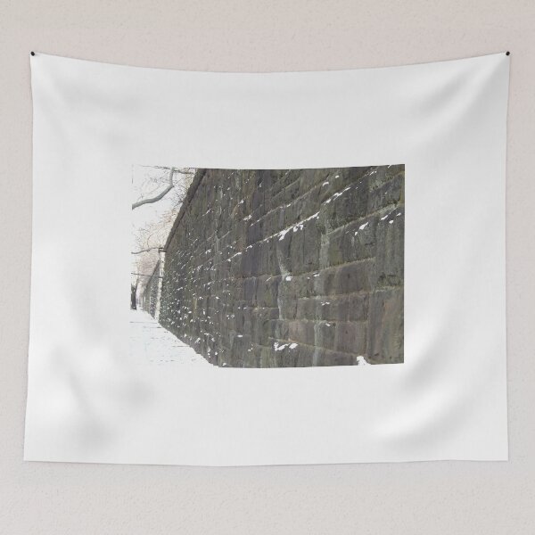 Item preview, Harsimus Stem Embankment, Snow View, Former Pennsylvania Railroad Embankment, Jersey City, New Jersey  designed and sold by lenspiro.