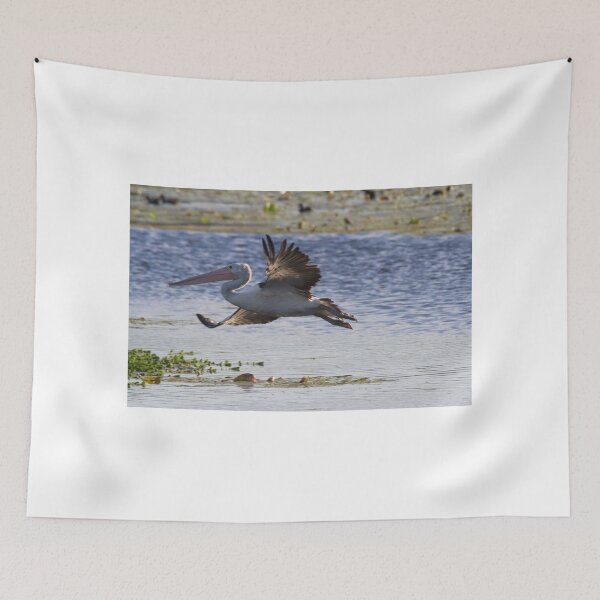 Item preview, Sunset Flight designed and sold by byronbackyard.