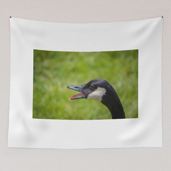 Item preview, Angry Goose  designed and sold by TKPhotos.