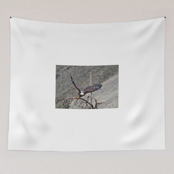Item preview, Take-off designed and sold by DawsonImages.