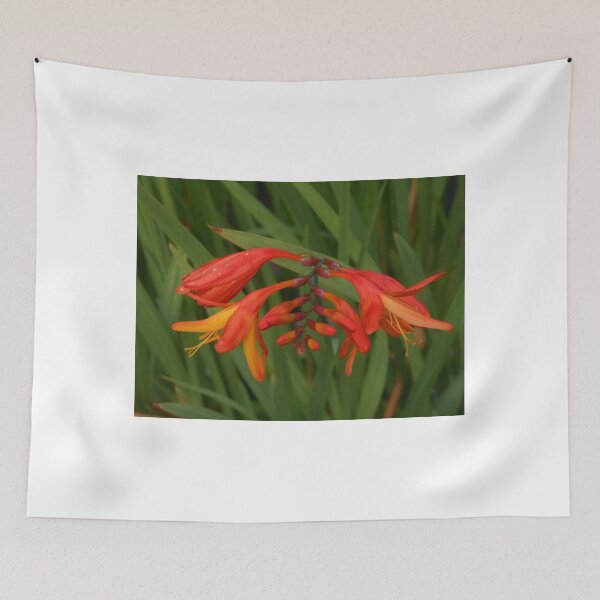 Item preview, Striking Orange Flower  designed and sold by Kathryn Jones.